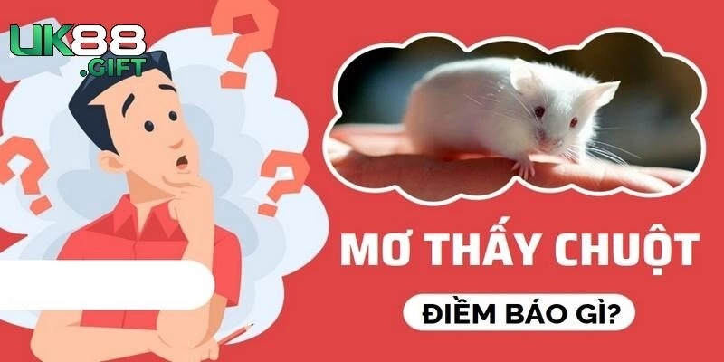 Nằm mơ thấy chuột cắn điềm lành hay dữ?